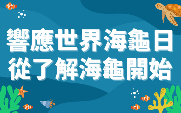 響應世界海龜日：從了解海龜開始