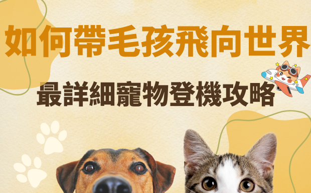 如何帶毛孩飛向世界：寵物搭機攻略看這一篇就夠了！