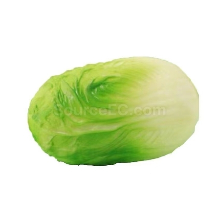 禮品訂造仿真蔬菜減壓玩具紀念品