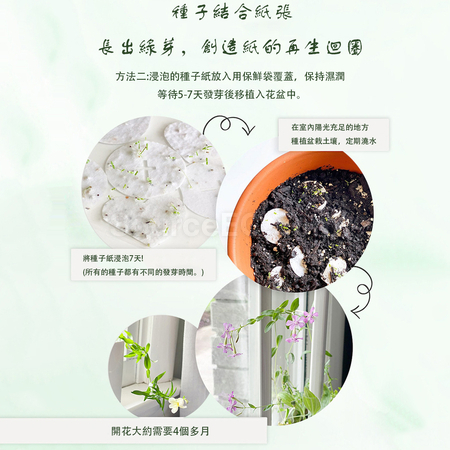 禮品訂造種子紙獎牌紀念品