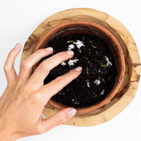 禮品訂造種子紙扇紀念品