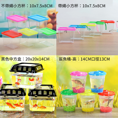 禮品訂造便攜塑膠烏龜缸金魚缸紀念品