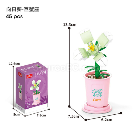 禮品訂造咖啡杯植物系列積木-12星座守護花系列紀念品