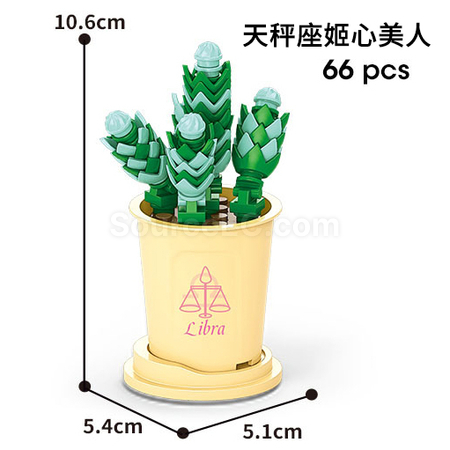 禮品訂造咖啡杯植物系列積木-12星座多肉植物系列紀念品