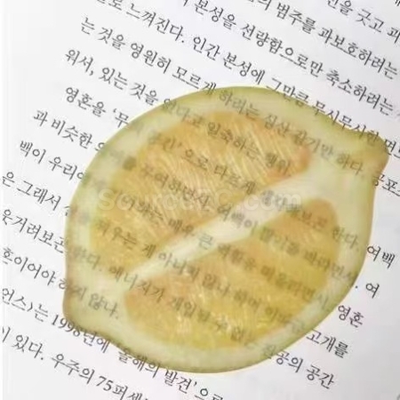 禮品訂造半透亞克力水果書籤紀念品