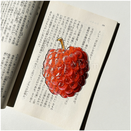 禮品訂造半透亞克力水果書籤紀念品