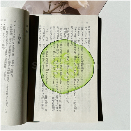 禮品訂造半透亞克力水果書籤紀念品