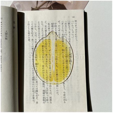 禮品訂造半透亞克力水果書籤紀念品