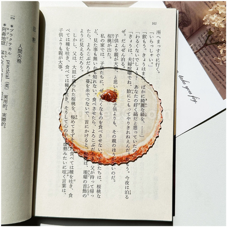 禮品訂造半透亞克力水果書籤紀念品