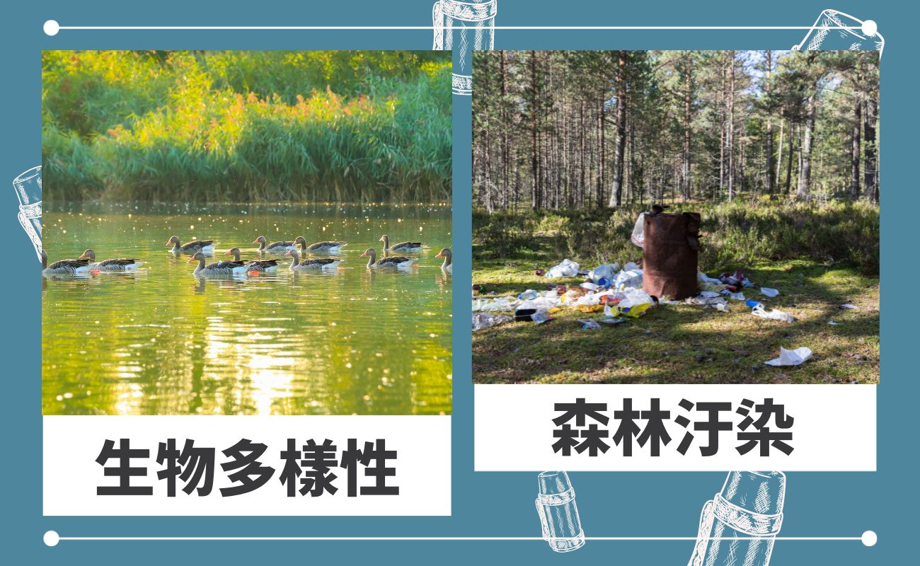 水壺比較