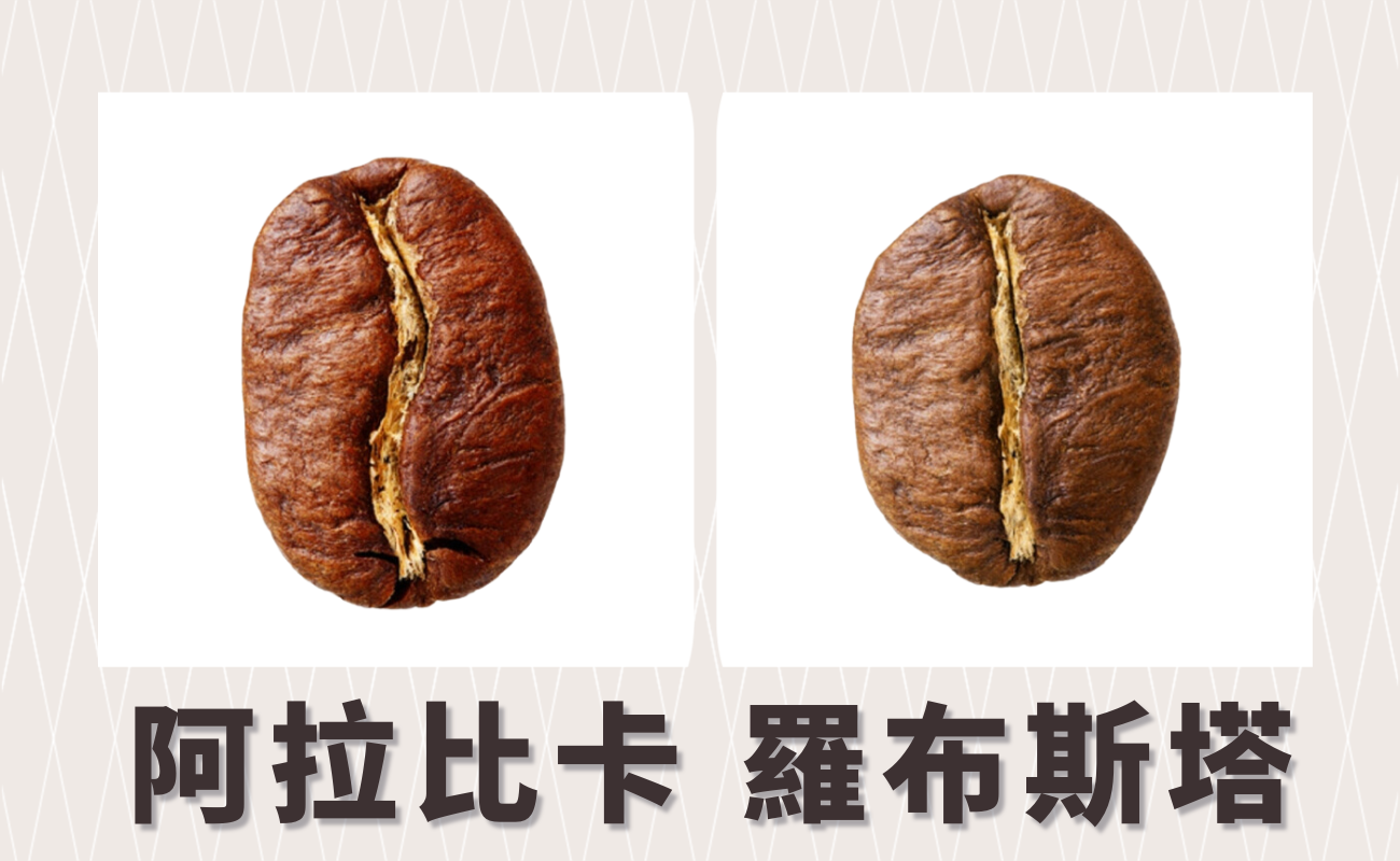 咖啡種類