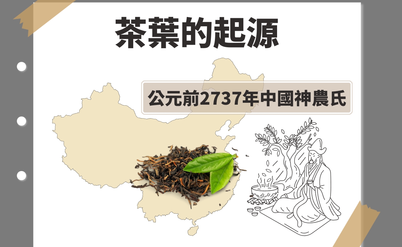 茶包的起源