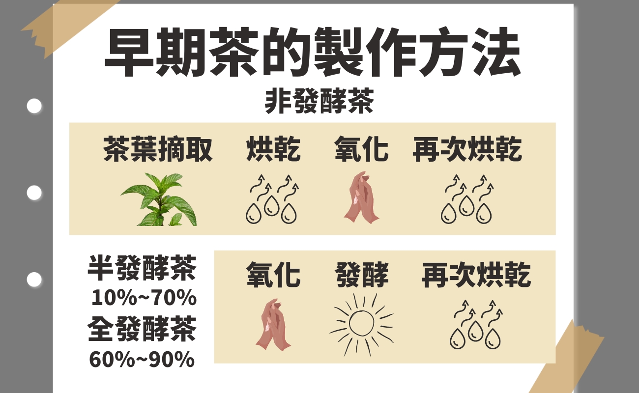 茶包的起源