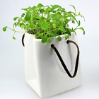 環保盤栽禮品